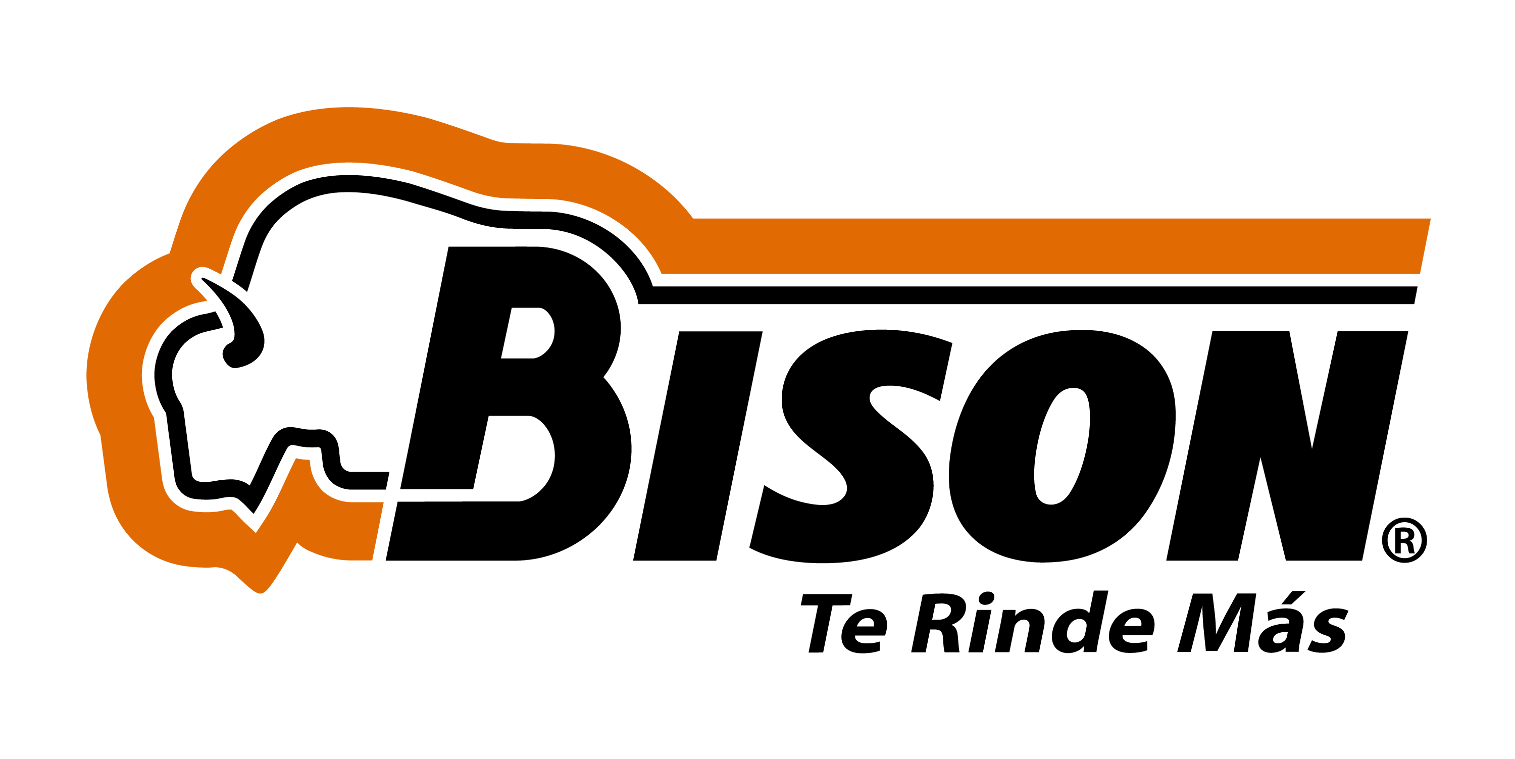 Bison