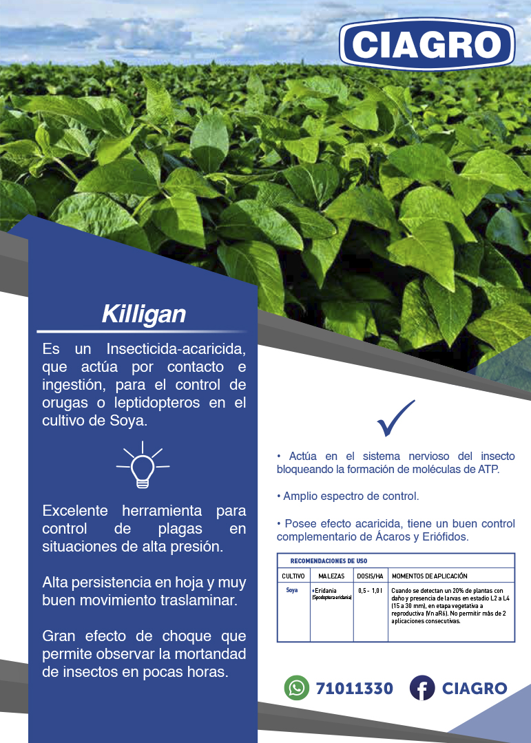 Killigan
