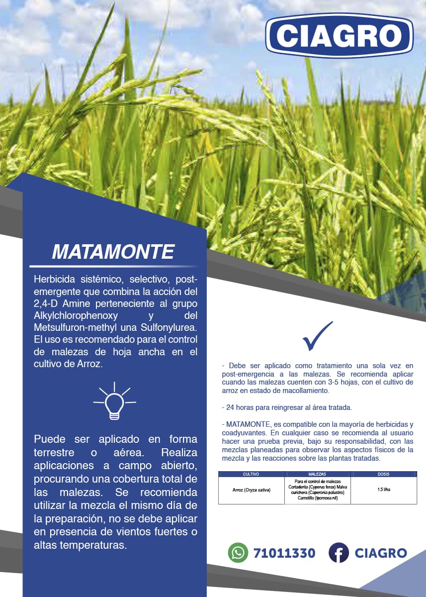 Matamonte