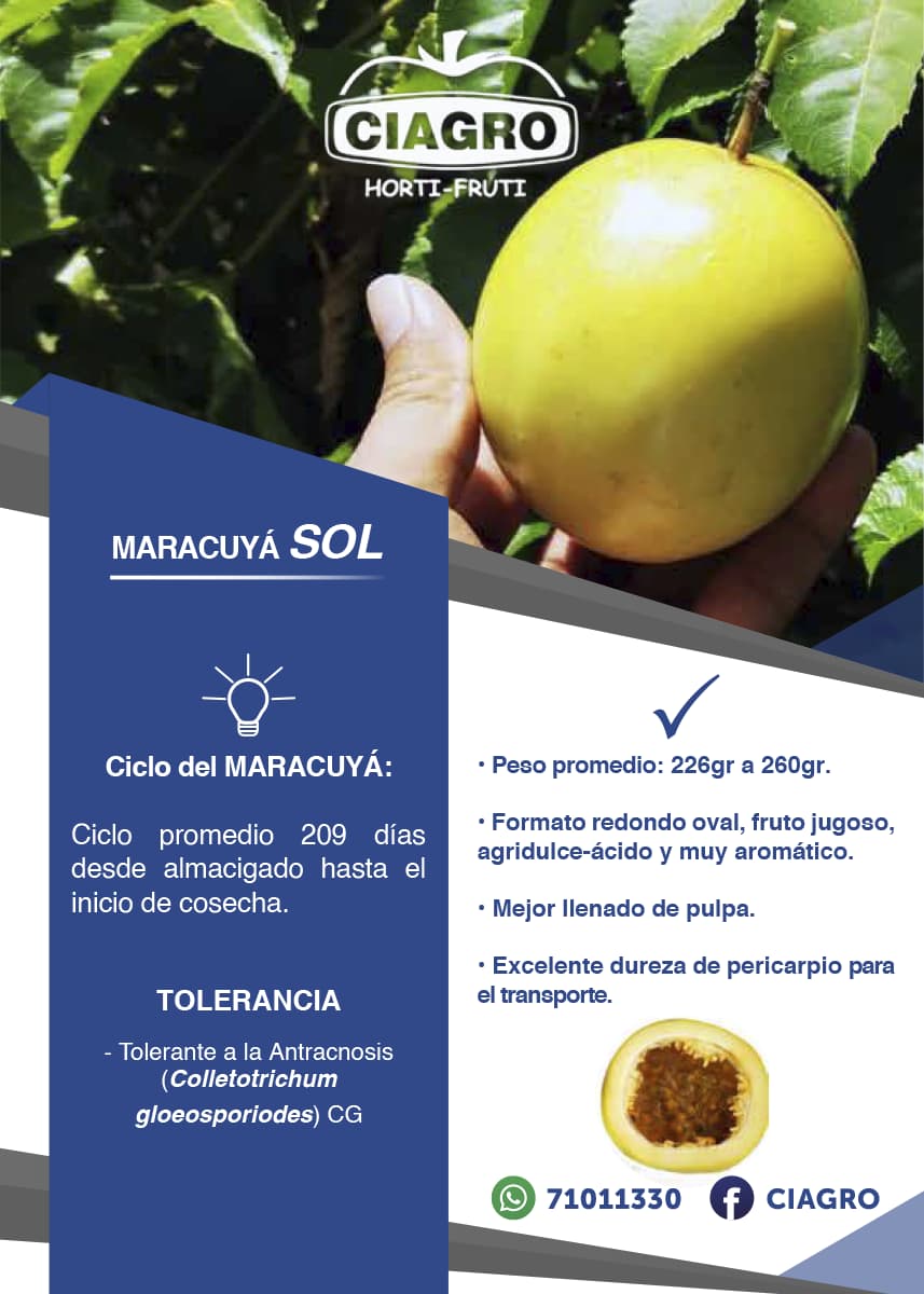 Maracuya Sol