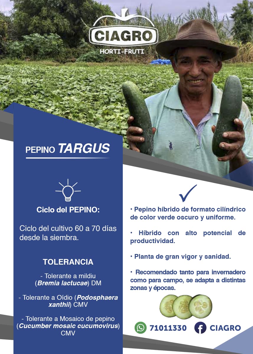 Pepino Targus