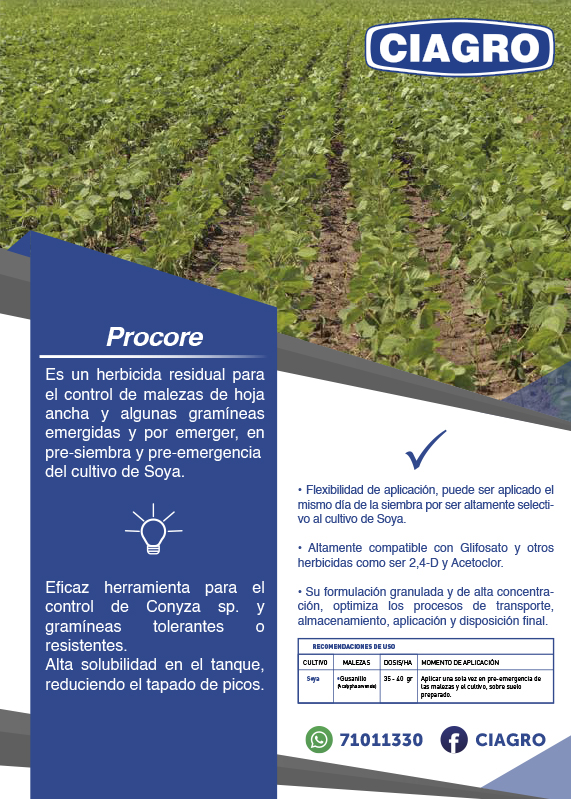 Procore