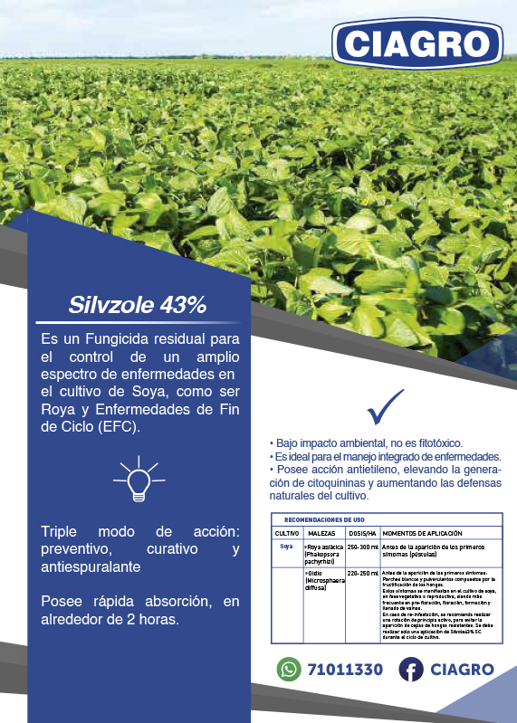 Silvzole