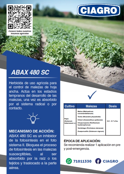 Abax
