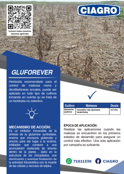 Gluforever