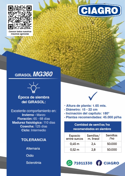 Girasol MG360