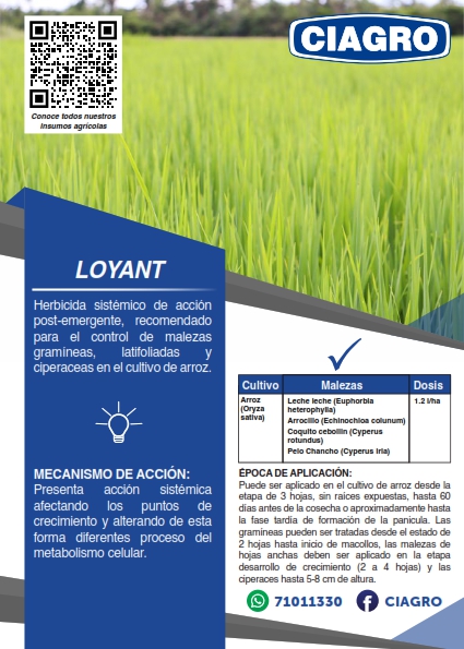 Loyant