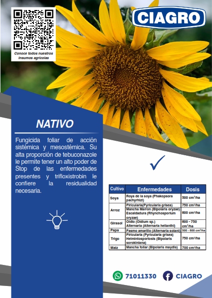 Nativo