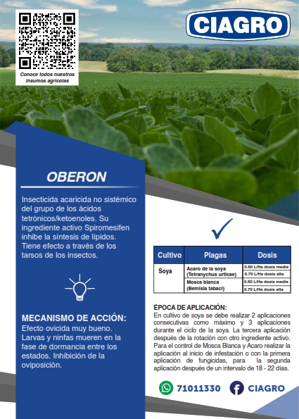 Oberon