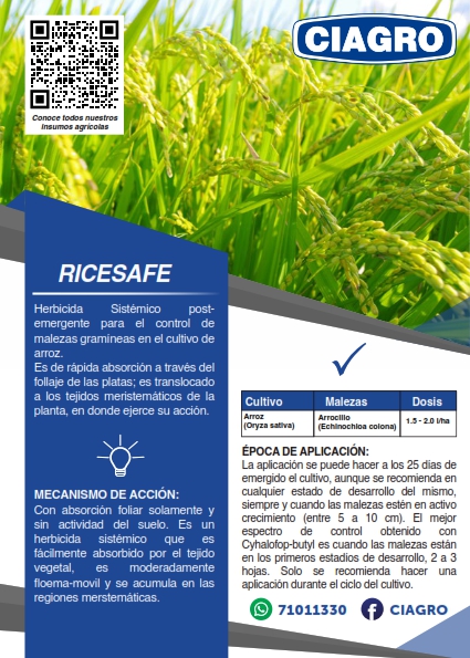 Rice Safe