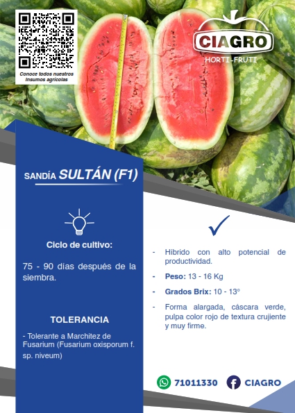 Sandía Sultan