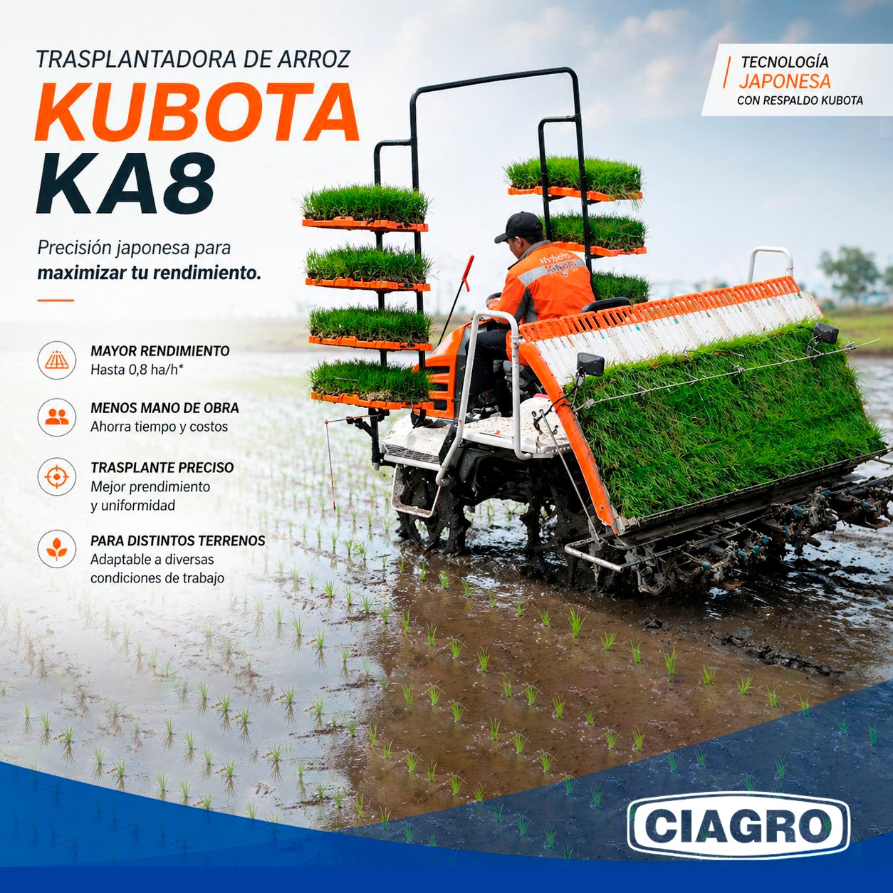 Trasplantadora Kubota