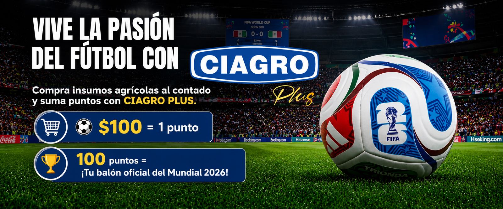 Imagen de portada